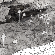 Racines (Trailer). Animation project by Anaïs M - 07.19.2021