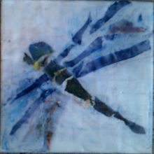 Dragonfly. 3D project by Mavis Paskulich - 07.20.2021