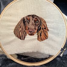 Mi Proyecto del curso: Needle painting para principiantes. Embroider, and Naturalistic Illustration project by joh_anamtz - 07.21.2021