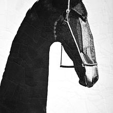 Caballos. Traditional illustration, Fine Arts, Collage, and Creativit project by Lola Dupre - 07.21.2021