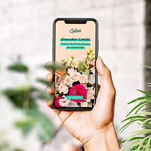 Diseño de redes sociales para marketing de Facebook e Instagram - Colvin. Un progetto di Design, Social media, Design per i social network, Marketing digitale, Graphic design, Pubblicità, Animazione e Animazione 2D di Eva Boch - 21.07.2021