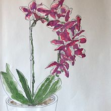 SOME PREVIOUS WORKS. Traditional illustration, Painting, Sketching, and Watercolor Painting project by Fillis Franceschini - 07.21.2021