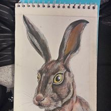 Mi Proyecto del curso: Técnicas experimentales de acuarela para principiantes . Traditional illustration, Fine Arts, Watercolor Painting, and Naturalistic Illustration project by Osvaldo Hurtado - 07.21.2021