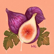 2020. Traditional illustration, Fine Arts, Drawing, and Botanical Illustration project by Elena Wa - 07.21.2021