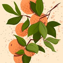 Orange. Ilustração tradicional projeto de Kristina Gerlits - 21.07.2021