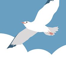 Seagull vector illustration . Traditional illustration, Vector Illustration, and Digital Illustration project by Kristina Gerlits - 07.22.2021