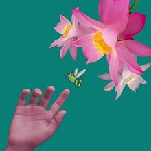 El viaje de la última "Arejita". Un progetto di Fotografia, Character design, Ritocco fotografico e Fotografia di ritratto di Edy Esquivel - 23.07.2021