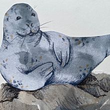 Illustrating Nature: A Creative Exploration course. Traditional illustration, Painting, Drawing, Watercolor Painting, Ink Illustration, and Naturalistic Illustration project by Kate - 07.23.2021