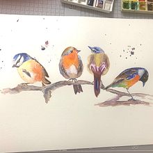 Il mio progetto del corso: Acquerello artistico per illustrazione di animali: gli uccelli. Een project van Traditionele illustratie, Aquarelschilderen, Realistische tekening y Naturalistische illustratie van Ylenia Raia - 24.07.2021