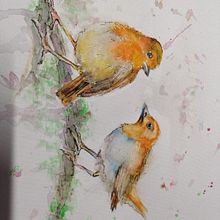 Il mio progetto del corso: Acquerello artistico per illustrazione di animali: gli uccelli. Traditional illustration, Watercolor Painting, Realistic Drawing, and Naturalistic Illustration project by Giuseppina Capalbo - 07.24.2021