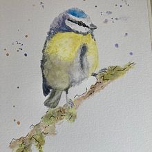 My project in Artistic Watercolor Techniques for Illustrating Birds course. Projekt z dziedziny Trad, c, jna ilustracja, Malowanie akwarelą, R, sunek realist, czn, Ilustracja naturalist i czna użytkownika jtribbe68 - 24.07.2021