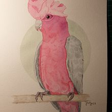 Mi Proyecto del curso: Ilustración naturalista de aves con acuarela. Traditional illustration, Watercolor Painting, Realistic Drawing, and Naturalistic Illustration project by jazmin.garcia.jimenez - 07.24.2021