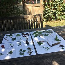 My project in Artist's Notebook: Explore Illustration Techniques course. Un projet de Design , Illustration traditionnelle, Beaux Arts, Peinture, Créativité, Créativité avec les enfants , et Carnet de croquis de Ida Csapó - 24.07.2021
