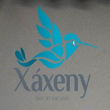 Mi Proyecto del curso: Principios básicos de SEO XAXENY. Un proyecto de Marketing, Marketing Digital, Mobile marketing, Marketing de contenidos, Growth Marketing y Diseño Web de Isela Galo - 25.07.2021