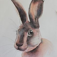 Mi Proyecto del curso: Técnicas experimentales de acuarela para principiantes . Traditional illustration, Fine Arts, Watercolor Painting, and Naturalistic Illustration project by Liliana Medici - 07.25.2021