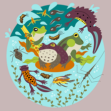 Japson's project in Stylized Vector Illustration with Color and Character course. Traditional illustration, Graphic Design, Vector Illustration, and Digital Illustration project by Caden Stawiarski - 07.25.2021