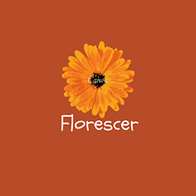 Meu projeto do curso: Projeto Florescer. Un progetto di Br, ing, Br, identit, Graphic design e Design di loghi di Loren Almeida - 23.07.2021
