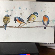 My project in Artistic Watercolor Techniques for Illustrating Birds course. Un proyecto de Ilustración tradicional, Pintura a la acuarela, Dibujo realista e Ilustración naturalista				 de Laurel Janson - 26.07.2021