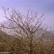 My project in Color Theory in Photography course. Fotografia, Retoque fotográfico, Fotografia digital, Composição fotográfica, e Teoria da cor projeto de Pramod Menon - 26.07.2021