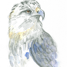 Mi Proyecto del curso: Técnicas experimentales de acuarela para principiantes . Traditional illustration, Fine Arts, Watercolor Painting, and Naturalistic Illustration project by Grace Luna - 07.26.2021
