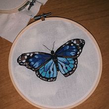 Il mio progetto del corso: Tecniche di ricamo realistico. Traditional illustration, and Embroider project by Giulia - 07.26.2021