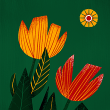 Flores ilustradas. Un progetto di Illustrazione tradizionale, Illustrazione digitale e Pittura digitale di Cecilia Moronari Leite - 02.01.2021