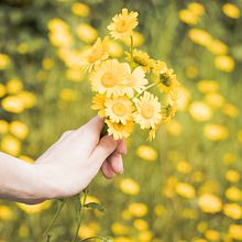 Entre flores. Un proyecto de Fotografía, Composición fotográfica y Post-producción fotográfica		 de Tania García Martínez - 27.07.2021