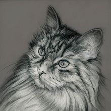 Mon projet du cours : Portrait artistique au fusain : créer des ambiances. Projekt z dziedziny Trad, c, jna ilustracja,  Sztuki piękne,  R, sunek, Portret, R, sunek realist, czn,  R, sunek art, st i czn użytkownika Martine Savart - 27.07.2021