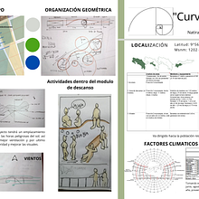 Curvas de Paz. Projekt z dziedziny  Architektura użytkownika Darilyn Madrigal - 27.07.2021