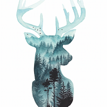 Double Exposure Aquarell Tiere. Traditional illustration, Fine Arts, Painting, Creativit, Drawing, Watercolor Painting, Realistic Drawing, Artistic Drawing, Instagram, Botanical Illustration, Color Theor, Naturalistic Illustration, and Gouache Painting project by Jessica Janik - 07.29.2021