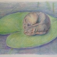 My project in Surrealist Illustration Inspired by Nature course. Traditional illustration, Pencil Drawing, Drawing, Artistic Drawing, and Naturalistic Illustration project by Agni Kuokkanen - 07.28.2021