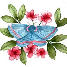 My project in Naturalist Illustrations with Watercolors: Drawing and Composition course . % sarah_jane74 tarafından hazırlanan Geleneksel illüstras, on, Çizim, Sulubo, a Resim, Doğalcı İllüstras, Ve on projesi - 07.30.2021