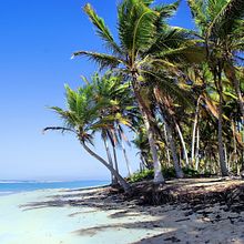 Touroperador Punta Cana JackCanaTours. Digital Marketing project by José Carlos Barroso Sánchez - 03.02.2021