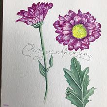 My project in Botanical Illustration with Watercolors course. Un proyecto de Ilustración tradicional, Bellas Artes, Pintura, Dibujo, Pintura a la acuarela e Ilustración botánica de ernstangel - 31.07.2021