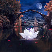 Mi Proyecto del curso: Secretos del fotomontaje y el retoque creativo. Photograph, Photograph, Post-production, VFX, Photo Retouching, Fine-Art Photograph, Photographic Composition, and Photomontage project by Mio Creatives - 07.31.2021