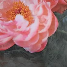 Mein Kursprojekt: Hybridfotografie für kreative Experimente. Un progetto di Fotografia, Fotografia artistica, Ritocco fotografico, Fotografia analogica e Autoritratto fotografico di albrandstetter - 01.08.2021