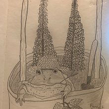 Frog Sketch Book . % Forrest Perry tarafından hazırlanan Çizim projesi - 06.22.2021