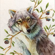 Mi Proyecto del curso: Ilustración científica de animales en acuarela Ein Projekt aus dem Bereich Traditionelle Illustration, Aquarellmalerei, Realistische Zeichnung und Naturalistische Illustration von sannenmx - 02.08.2021