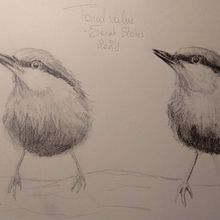 My project in Artistic Watercolor Techniques for Illustrating Birds course. Traditional illustration, Watercolor Painting, Realistic Drawing, and Naturalistic Illustration project by sigo - 12.07.2021