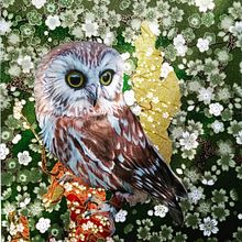 Northern Saw-whet Owl, coloured pencil and chiyogami paper collage. Un projet de Dessin , et Collage de nicole_august - 03.08.2021