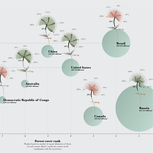 Top 10 biggest forests in the world and their change in the past 20 years. Projekt z dziedziny Projektowanie informacji, Projektowanie interakt, wne i Infografika użytkownika juancizurieta - 03.08.2021