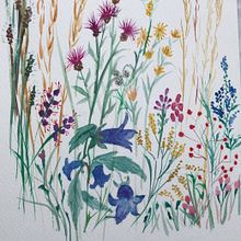 Erbe e fiori di Tander.. Traditional illustration project by lucia_menato - 08.03.2021