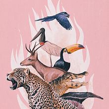 Queimadas no Pantanal • Brasil. Projekt z dziedziny Trad, c, jna ilustracja, Ilustracja c i frowa użytkownika Débora Islas - 03.08.2021