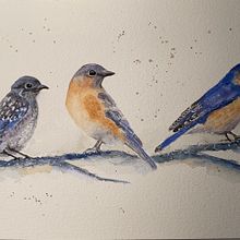 My project in Artistic Watercolor Techniques for Illustrating Birds course. Projekt z dziedziny Trad, c, jna ilustracja, Malowanie akwarelą, R, sunek realist, czn, Ilustracja naturalist i czna użytkownika Carmen Fischer - 03.08.2021