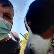 Meu projeto do curso: Fotografia lifestyle de cachorros. Photograph, Portrait Photograph, Instagram Photograph, Documentar, Photograph, Lifest, and le Photograph project by Leandro Garcia - 07.24.2022