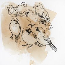 Ink. Traditional illustration project by Mateja Pivk - 08.02.2021