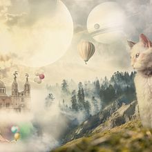 EL Gato Ein Projekt aus dem Bereich Traditionelle Illustration, Werbung und Grafikdesign von adolfuri_ - 03.08.2021