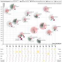 Mi Proyecto del curso: Visualización de datos y diseño de la información: crea un modelo visual. Projekt z dziedziny Projektowanie informacji, Projektowanie interakt, wne i Infografika użytkownika iolanda_rose_22 - 03.08.2021