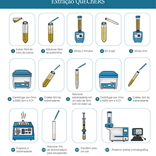 Infográfico para TCC "Avaliação da degradação de benzo[a]pireno in vitro utilizando fungos filamentosos isolados de fazenda de lodo ativado". Ilustração tradicional projeto de Melissa Alves - 30.07.2021
