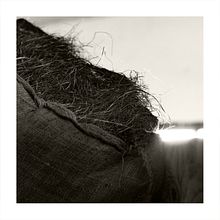 Mi Proyecto del curso: Fotografías MecNature. Advertising, Photograph, Marketing, Social Media, Mobile Photograph, Product Photograph, Mobile Marketing, Instagram, Instagram Photograph, Lifest, and le Photograph project by Juan Carlos Lorenzo Domínguez - 07.30.2021